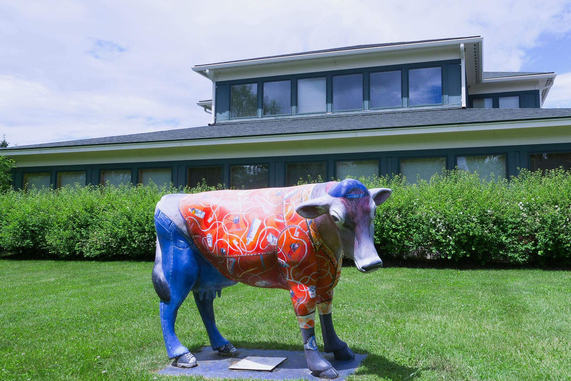 Champlain Ortho cow statue
